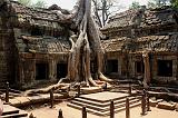 101 Ta Phrom